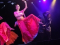 Raubritterball 2016 (18)