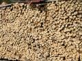 Rikscha-4