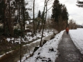 Rodungen-in-Lochau-2019-2