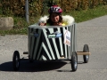 Seifenkistenrennen2015 (1)