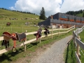 Seilbahnen Laterns (2)