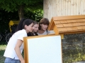 Sommerfest der Lebenshilfe 2017 (22)