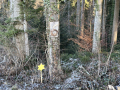 Krippenweg-13