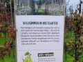 Streuobst-Offensive-im-Obsthof-Leiblachtal-5