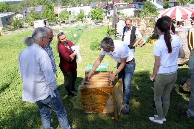 Tag des Bienenstocks 2017 (10)