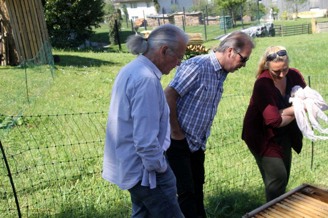 Tag des Bienenstocks 2017 (11)