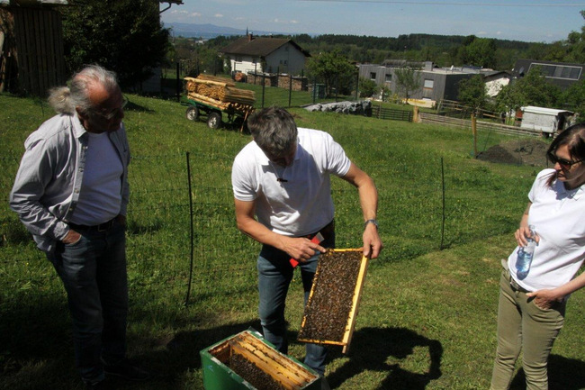 Tag des Bienenstocks 2017 (3)