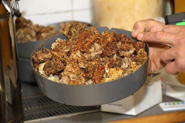 Tag des Bienenstocks 2017 (34)