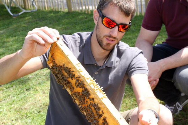 Tag des Bienenstocks 2017 (38)