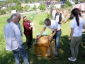 Tag des Bienenstocks 2017 (10)