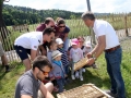 Tag des Bienenstocks 2017 (42)