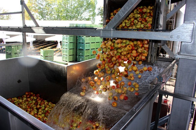 Tag des Obstes 2018 (6)
