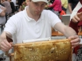 Tag-des-offenen-Bienenstockes-2019-31
