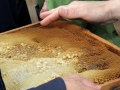 Tag-des-offenen-Bienenstockes-2019-43