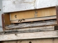 Tag-des-offenen-Bienenstockes-2019-58