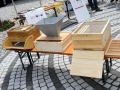 Tag-des-offenen-Bienenstockes-2019-9