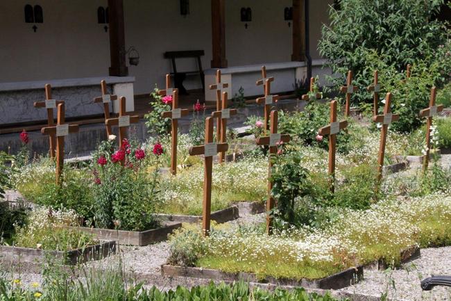 Tag des offenen Bienenstocks 2018 (10)