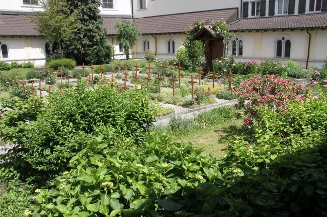 Tag des offenen Bienenstocks 2018 (11)