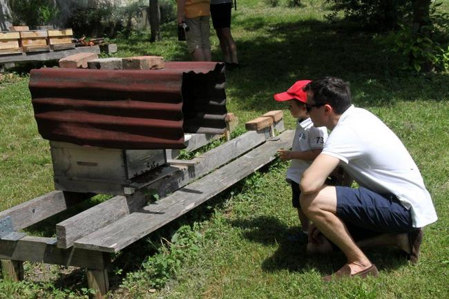 Tag des offenen Bienenstocks 2018 (14)