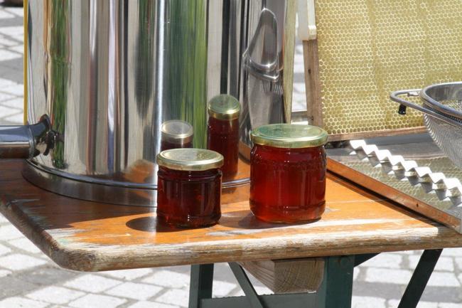 Tag des offenen Bienenstocks 2018 (24)