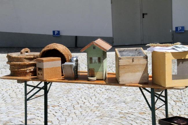 Tag des offenen Bienenstocks 2018 (25)