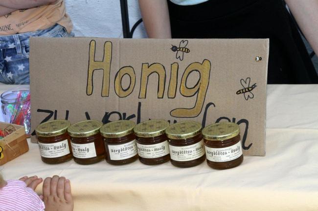 Tag des offenen Bienenstocks 2018 (31)
