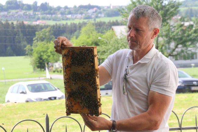 Tag des offenen Bienenstocks 2018 (45)