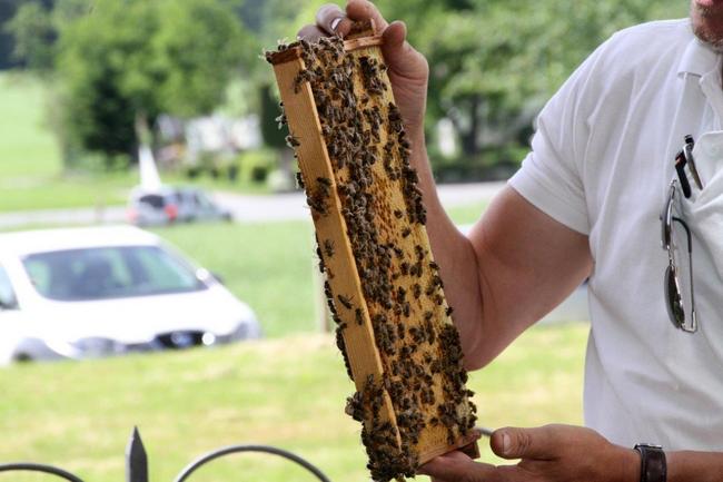 Tag des offenen Bienenstocks 2018 (46)