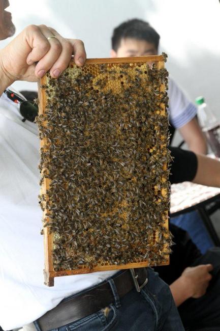 Tag des offenen Bienenstocks 2018 (50)