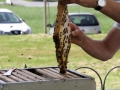 Tag des offenen Bienenstocks 2018 (39)