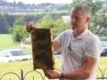 Tag des offenen Bienenstocks 2018 (45)