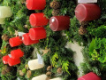Lochau-Adventkranzwoche-MISSIONSKREIS-Impressionen-TERMIN-November-2023-5