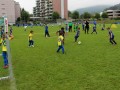 U7-Fussball-Turnier-im-Stadion-Hoferfeld-8