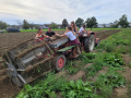 Lochau-Kartoffel-Ernte-Maschine-Nostalgie-SCHLACHTER-13-09-2022-5