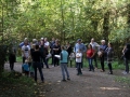 Waldkinder 2017 (20)