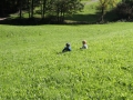 Waldkinder 2017 (21)