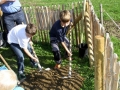 Waldkinder 2017 (59)