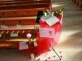 Wer-in-der-Liebe-lebt-13