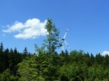 wildpoldsried-2013_3_lbb