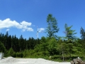 wildpoldsried-2013_6_lbb